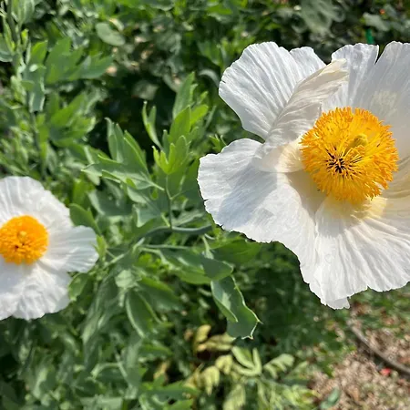 斯塔基住宿加早餐旅馆 3* 乌迪内