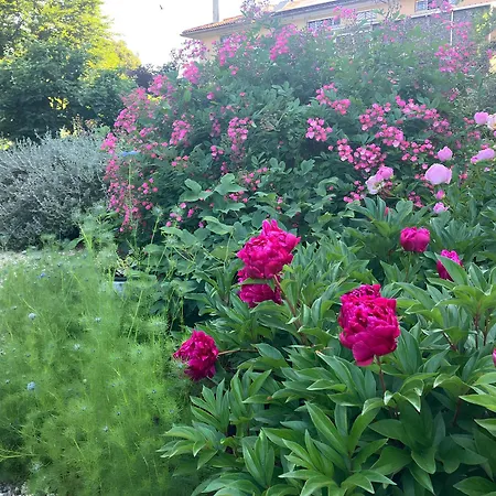 住宿加早餐酒店 斯塔基住宿加早餐旅馆 3*