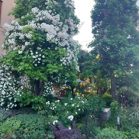 斯塔基住宿加早餐旅馆 3*