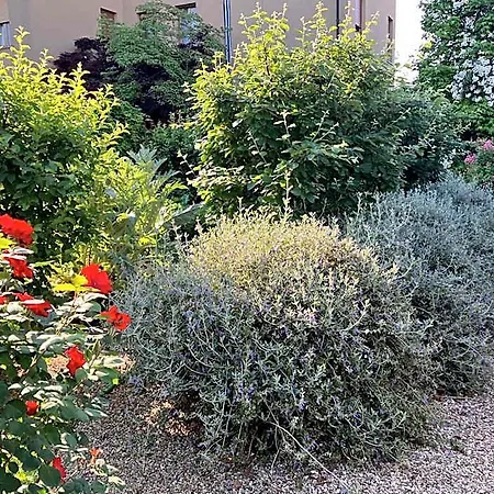 Casa Stucky 3* Udine