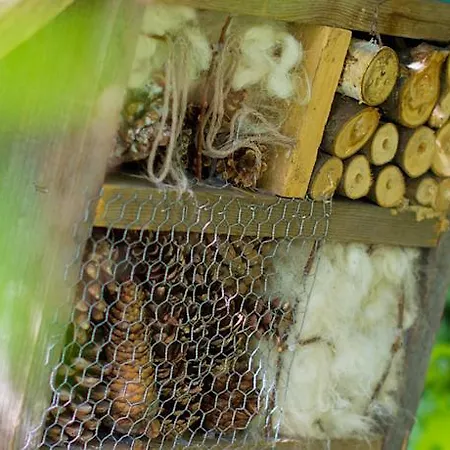 斯塔基住宿加早餐旅馆 住宿加早餐酒店