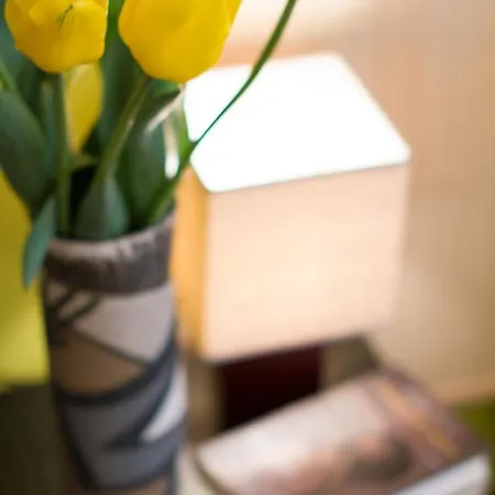 住宿加早餐酒店 斯塔基住宿加早餐旅馆