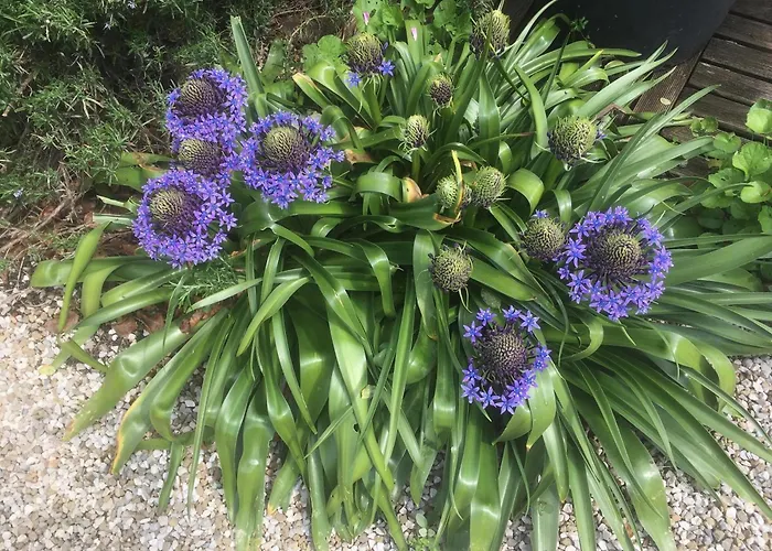 Casa Stucky Bed & Breakfast